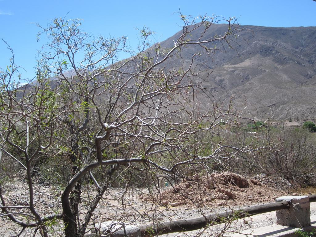 Posada Campo Morado อัวกาเลรา ภายนอก รูปภาพ